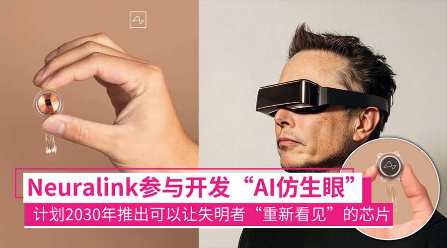elonmusk blindsight chips